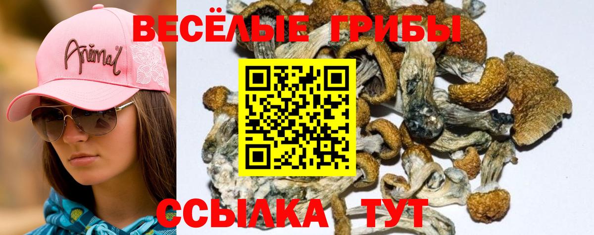 Галлюциногенные грибы прущие грибы  Вход с VPN  Урус-Мартан 